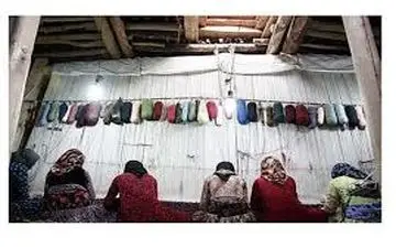  آمادگی تأمین اجتماعی برای بیمه قالیبافان به شرط تأمین بودجه