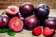 از خوردن این میوه در تابستان غافل نشوید!