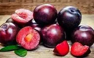 از خوردن این میوه در تابستان غافل نشوید!