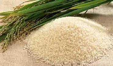عوامل افزایش قیمت برنج باسماتی 