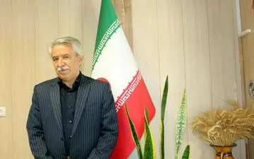 برداشت بیش از ۱۷۱ هزار تن ذرت علوفه ای از مزارع شهرستان کرمانشاه