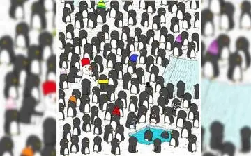 فقط 30 ثانیه فرصت داری لیوان قهوه رو در تصویر پیدا کنی/ بینایی خودت رو بسنج! 