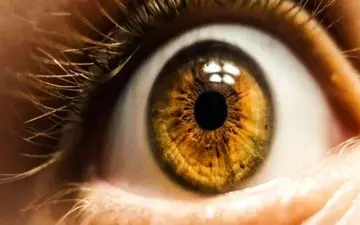 قاتل بی‌صدا چشم را می شناسید؟

