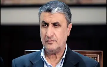  احتمال ارسال جعبه سیاه هواپیمای اوکراینی به فرانسه وجود دارد