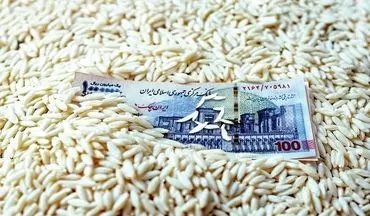 قیمت برنج پاکستانی ۱۳ مهر؛ سوپر باسماتی چند شد؟ + جدول