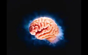 قدرت پنهان بوی قهوه: مغز خود را بدون کافئین شارژ کنید