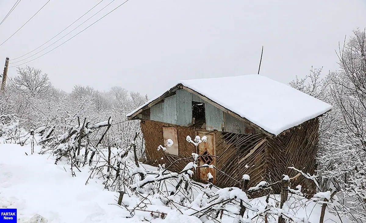  هواشناسی ایران ۹۸/۱۱/۷|آغاز بارش برف و باران از روز جمعه