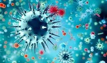 ورود ویروس آنفولانزا به سلول انسان چگونه صورت می گیرد؟