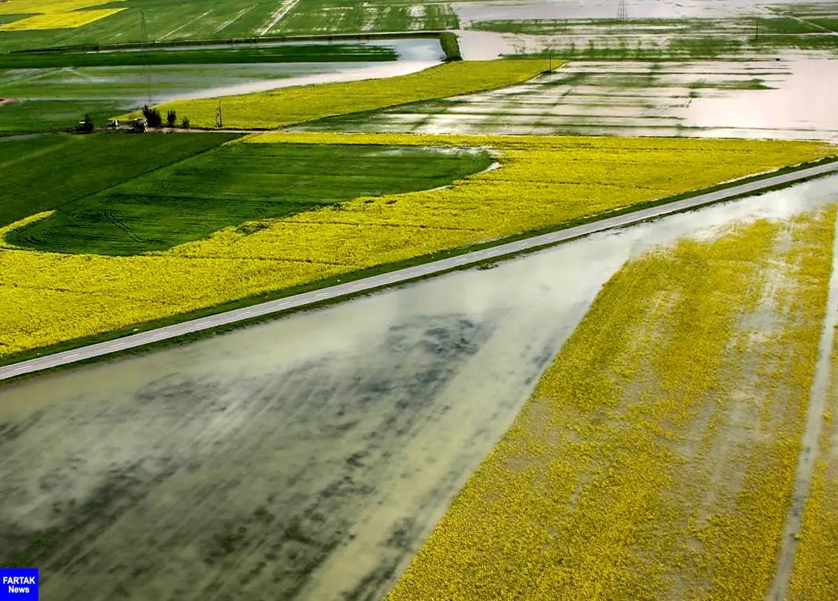 حجتی: بخشی از سیل گلستان با زهکشی زمین های کشاورزی راهی دریا شد