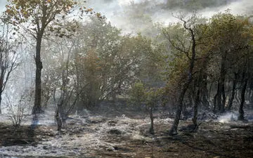 مهار آتش‌ در جنگل‌های مریوان