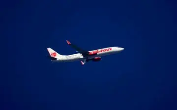  هواپیمای مسافربری اندونزی در دریا سقوط کرد