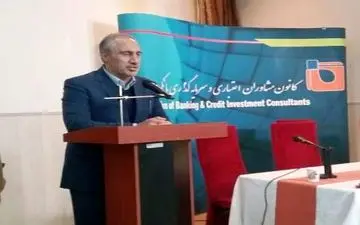  معاون سازمان برنامه و بودجه: بانک ها در بررسی طرح ها تخصص کافی ندارند
