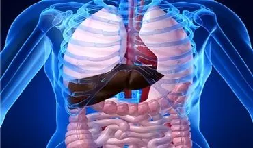 اگر مشکلات روده و معده دارید حتما بخوانید!