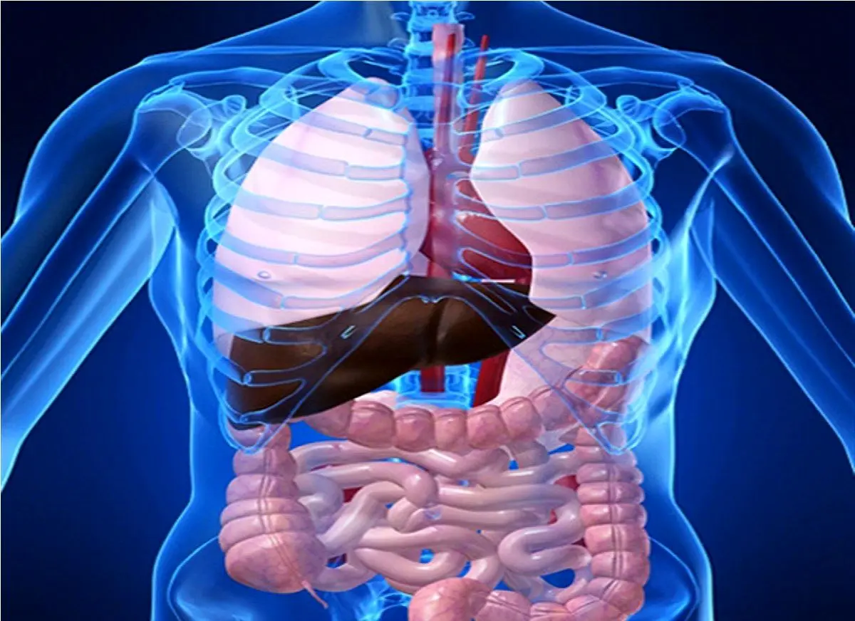 اگر مشکلات روده و معده دارید حتما بخوانید!