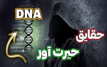 چند عکس که با شنیدن داستان آن ها، همه وجودتان می لرزد + تصاویر