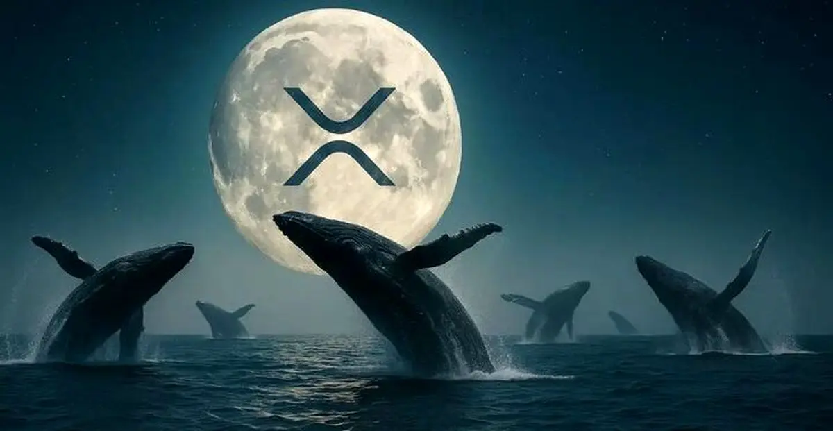 نهنگهای ارز دیجیتال ۳.۸ میلیارد دلار ریپل خریداری کردند | جهش قیمت XRP