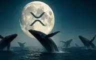 نهنگ‌های ارز دیجیتال ۳.۸ میلیارد دلار ریپل خریداری کردند | جهش قیمت XRP