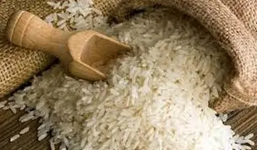 قیمت برنج؛ جهش ۲۴۰ درصدی از شالیزار تا فروشگاه/طارم و هاشمی چند؟