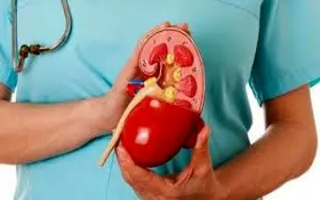 تغذیه ای که مناسب بیماران کلیوی است