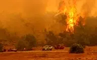 آتش‌سوزی جنگلی در ازمیر ترکیه / ۳ نفر جان باختند + ویدئو