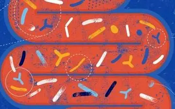 بررسی بازدم برای تشخیص میکروبیوم روده