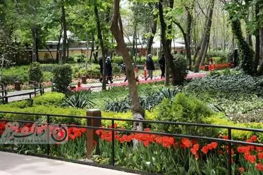  باغ ایرانی  بوستان  لاله های رنگین 