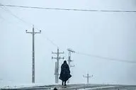 زنجان در آستانه کولاک شدید؛ هشدار نارنجی هواشناسی صادر شد!
