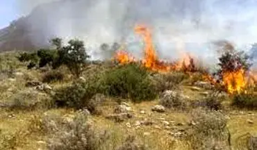 آتش سوزی در 3 هکتار از جنگل های گیلانغرب