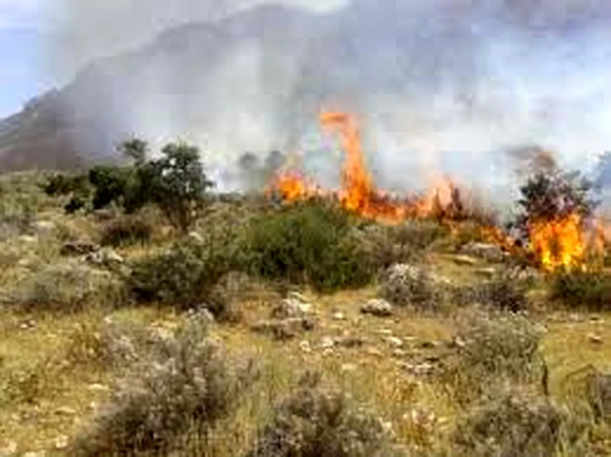 آتش سوزی در 3 هکتار از جنگل های گیلانغرب