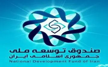 برداشت‌های مکرر از صندوق توسعه موجب تشدید بی‌ثباتی در قیمت‌ها شده است
