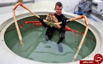 جانورانی که تا به حال ندیده اید +فیلم