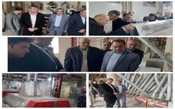 ایلام به دنبال الگوسازی در تولید آرد؛ کارخانه چرداول نمونه‌ای موفق