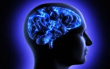 کدام قسمت‌ مغز باعث «کنجکاوی» می‌شود؟