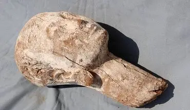 رازگشایی از مجسمه چوبی 4 هزار ساله ملکه مصری