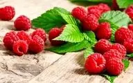 راز جوانی، حافظه قوی و لاغری در یک میوه کوچک