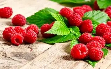 راز جوانی، حافظه قوی و لاغری در یک میوه کوچک