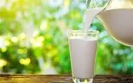 افزودن شکر به شیر ممنوع