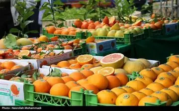 ۱۱۵۰ تن میوه شب عید از ۲۵ اسفند در قم توزیع می‌شود