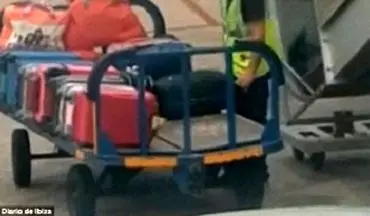 دستبرد کارمند فرودگاه به چمدان مسافران! +فیلم 