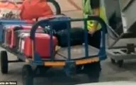دستبرد کارمند فرودگاه به چمدان مسافران! +فیلم 