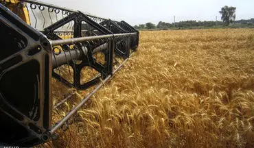نرخ‌های خرید تضمینی محصولات کشاورزی اعلام شد