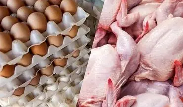 از مزرعه تا بشقاب: راز تولید انبوه تخم مرغ و گوشت مرغ در استرالیا | فیلم