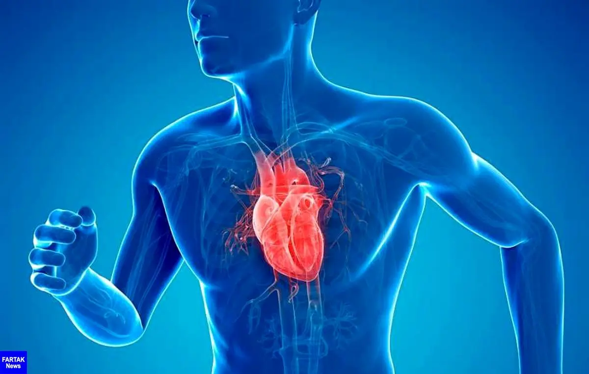 روش هایی برای تقویت عضله قلب