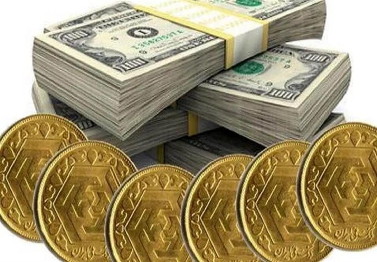 هشدار عضو کمیسیون اقتصادی مجلس به مردم برای تبدیل نقدینگی به سکه و ارز