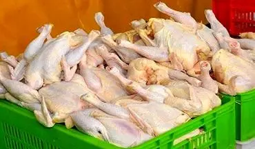 آنفولانزای مرغی مهار شد/ قیمت مرغ از بال و پرافتاد