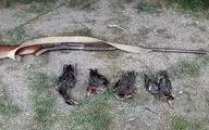 دستگیری سه شکارچی غیرمجاز پرنده در اندیکا