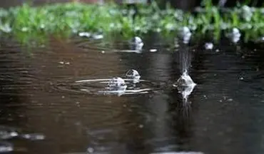 بارش شدید باران در پل دختر + فیلم