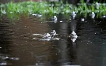 بارش شدید باران در پل دختر + فیلم