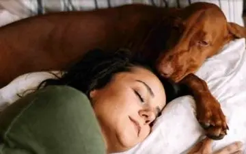 اگر حیوان خانگی دارید بخوانید!