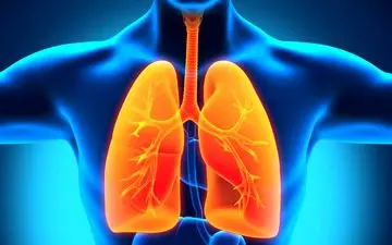 تاثیر باور نکردنی سونا بر ریه! 